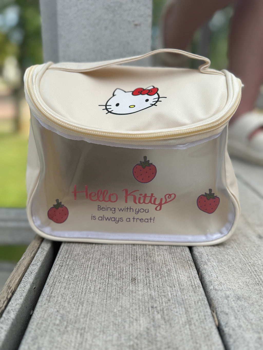 Wipeable Bag
