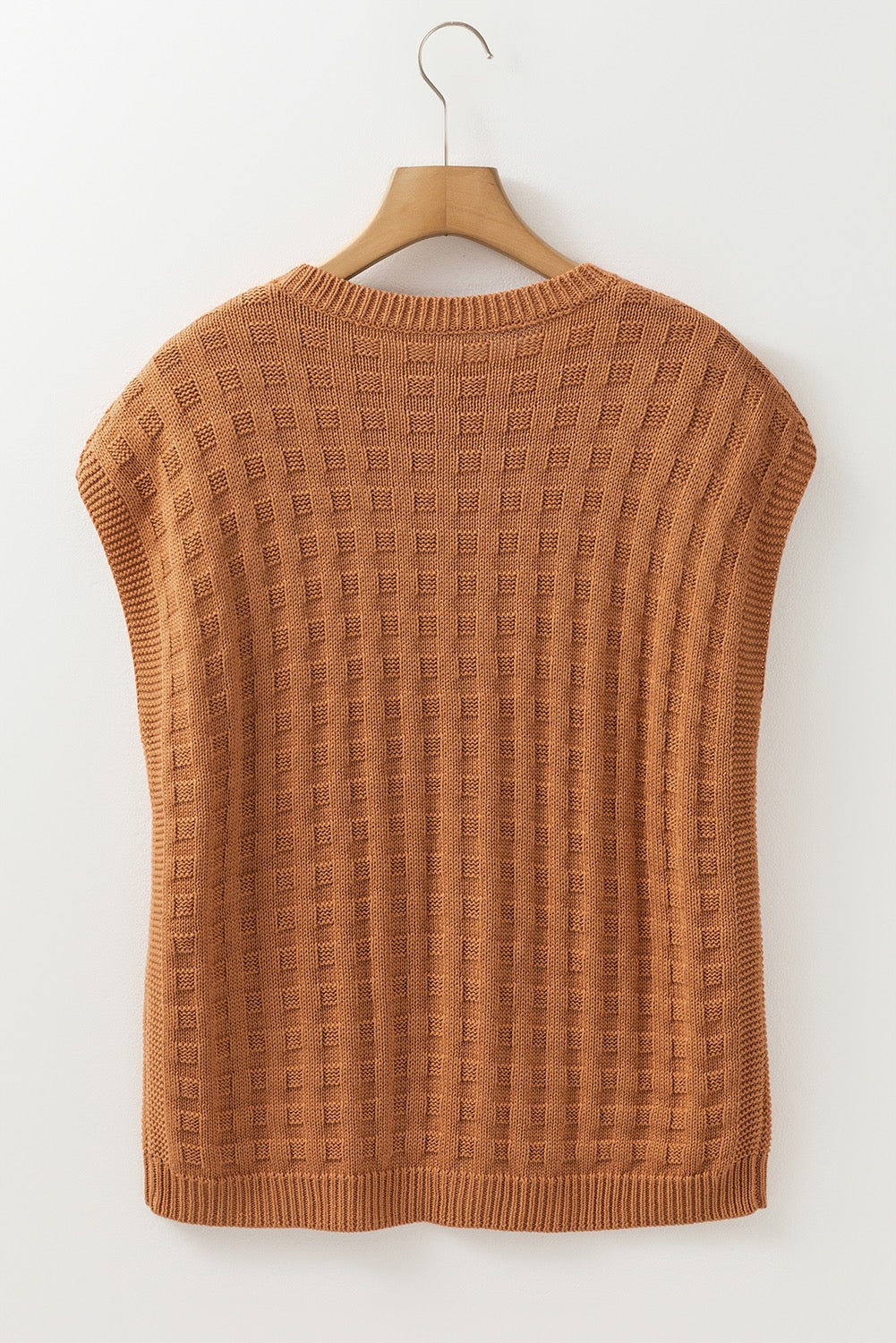 Camel Sweater Vest LT